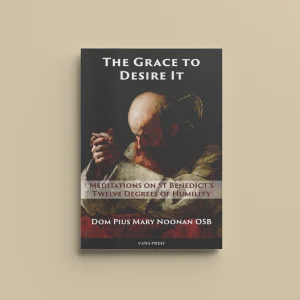 The Grace to Desire It: Meditations on St Benedict’s Twelve Degrees of Humility Cover