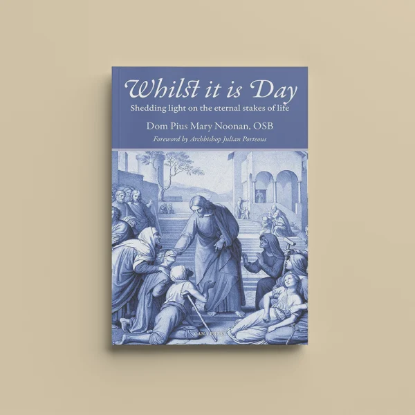 Whilst It Is Day: Shedding Light on the Eternal Stakes of Life Cover