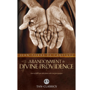 Abandonment to Divine Providence : How to fulfill your daily duties with God-given purpose