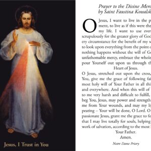 Holy Card - Prayer of Saint Faustina to the Divine Mercy