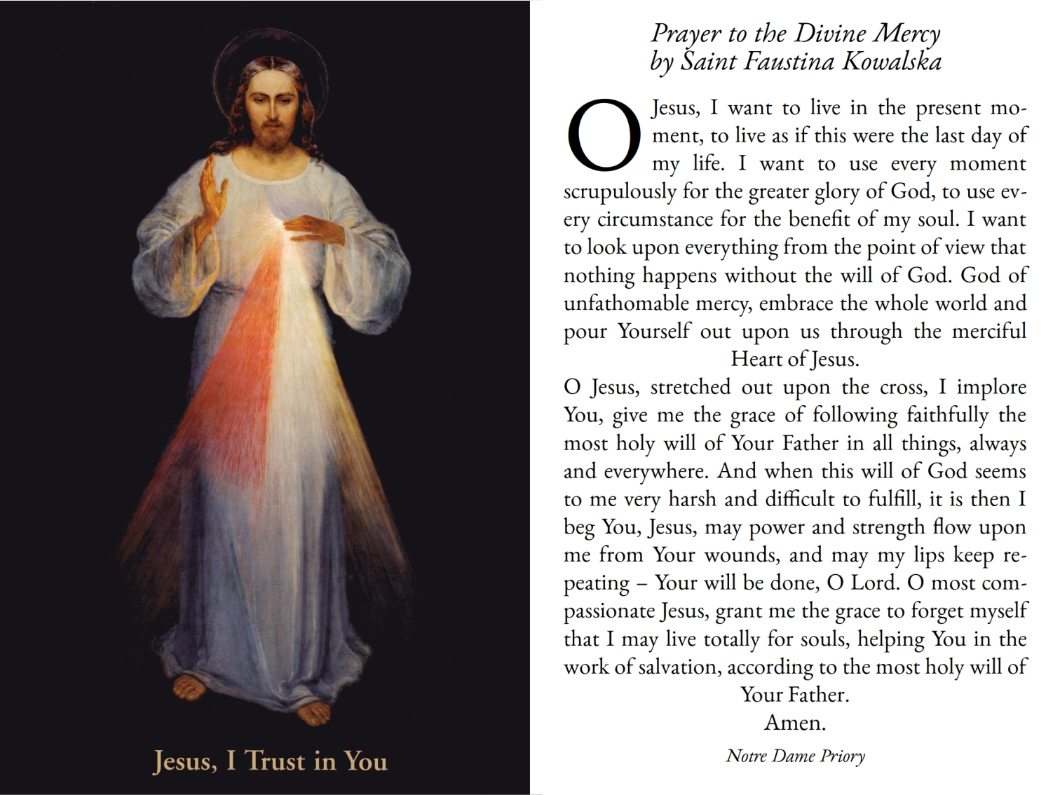 Holy Card - Prayer of Saint Faustina to the Divine Mercy