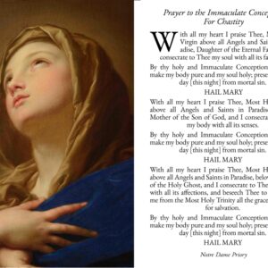 Holy Card - Prayer to the Immaculate Conception for Chastity