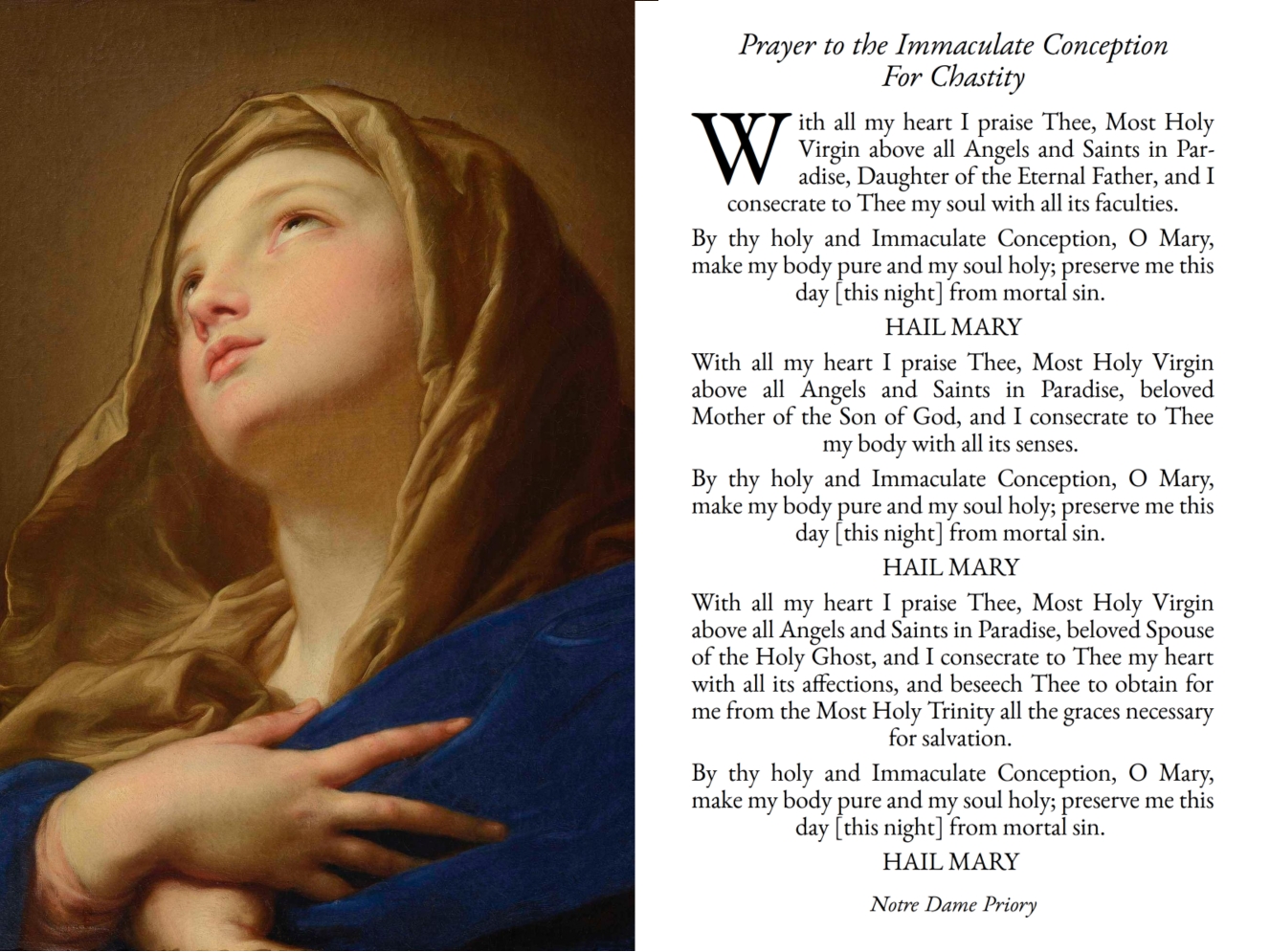 Holy Card - Prayer to the Immaculate Conception for Chastity